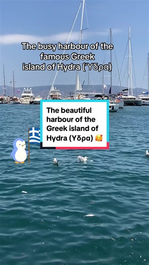 The busy harbour of the famous Greek island of Hydra (Ύδρα) #hydra #greece #greekislands #travelgreece #travelvibes @Awesome Greek Islands @Vic’s World Travels