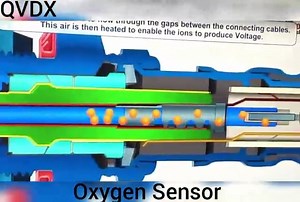 Watch QVDX High Oxidizing O2 - Oxygen Sensor - Original Equipment on Amazon Live