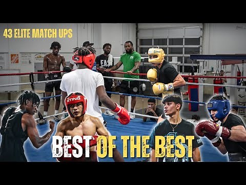 4K SPARRING Of The BEST Boxers In The USA Between 139-203 LBS!