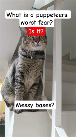 ✨the front view✨ #paperdragon #dragon #funny #fyp