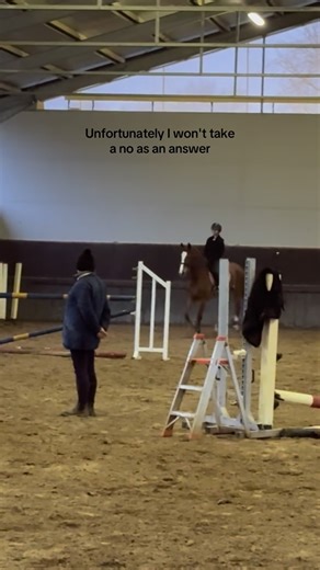 Nana & Asagi on Instagram: "the tough life of owning a chestnut mare btw I'm fully dressed by @amikoandfriends ! you can use the code MARTINA10 to have 10€ off your first order #horses #chestnutmare #fyp #equestrian #tvdmequestrian"