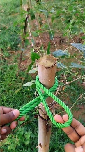 Amazing Knot Tutorial You Need to Learn! 💯