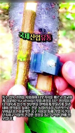 이 공구 하나면 끝! 작업 효율 200% 올리는 원예 기술