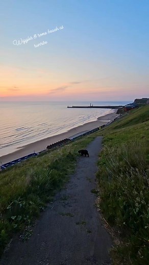 Wiggles & beach at sunrise | Jo Irving