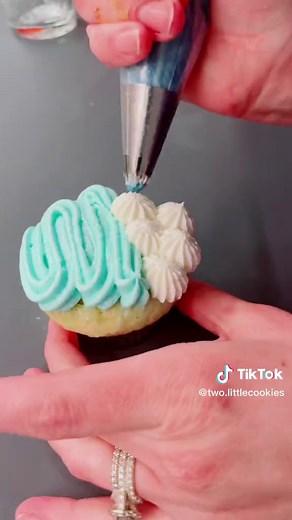 Bluey and Bingo Cupcakes - Cupcake Decorating Ideas