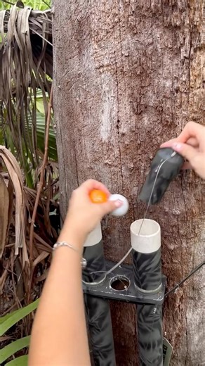 🚨 Caution: this geocache may require extreme patience. 🚨 Video by Northern Blonde Abroad. | Geocaching