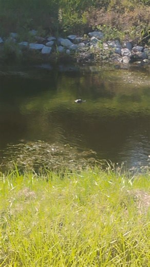 Sean Johnson on Reels | Facebook