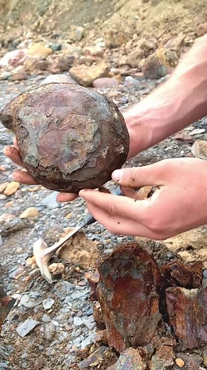 yorkshire.fossils on TikTok