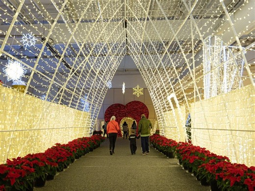 Embrace the early snowy season: Five things to do this weekend in Saskatoon, Nov. 28-30