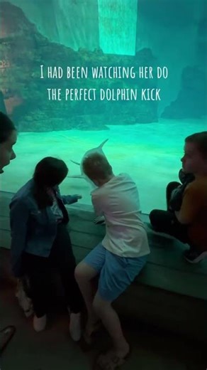 Learning from the best! #dolphinkick #shorts #aquarium #clearwater #dolphin