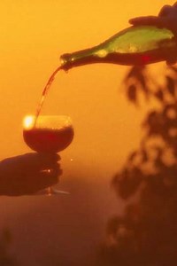 An Illusion of Cohesion - Movie