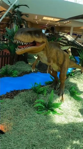 Cuidado Dinossauro #yearofyou #dinosaur