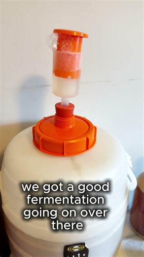 Don't Fall for the Airlock Trick #homebrewing #beermaking #fermentation