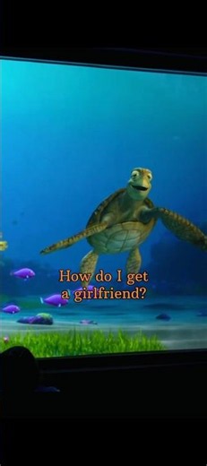 HOW TO GET A GIRLFRIEND| Turtle talk with crush 🤣