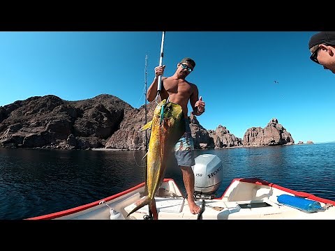 Fishing Loreto, Mexico - Surface Iron Dorados!