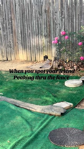 She was happy | Favor Favor | Facebook