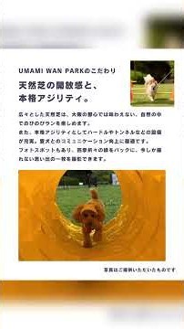 #エモい町広陵町 Special353 期間限定ドッグラン UMAMI WAN PARK（うまみワンパーク）