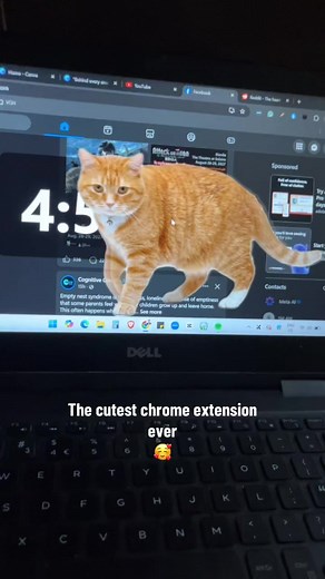 Cutest Chrome Extension: Cat Gatekeeper Tutorial