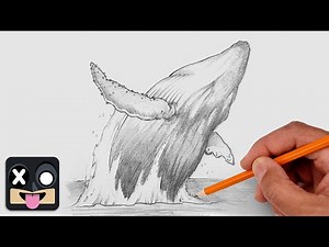 How To Draw a Whale | Step by Step Art Lesson