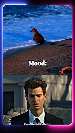 Grieving a Loyal Companion: Heartbreaking Dog Moment 😭 #DogSadness #PetGrief #DogLife | Dog Stories