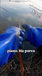 There's Something Heavy #fishing #magnet #magnetfishing