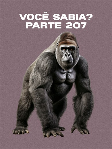 Você sabia? VC sabia vs curiosidades Parte 207 #vocesabia #curiosidades #foryoupage #vcsabiavideo #tiktokmozambique🇲🇿🇧🇷🇦🇴🇵🇹