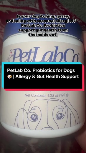 PetLab Co. Probiotic Soft Chews are vet-reviewed supplements designed to support your dog’s digestive health, immune system, and seasonal allergy relief. Made with premium-quality ingredients for daily wellness your pup can trust. @PetLab Co. #PetLabCo #DogGutHealth #DogAllergyRelief #HealthyDogs #PetSupplements