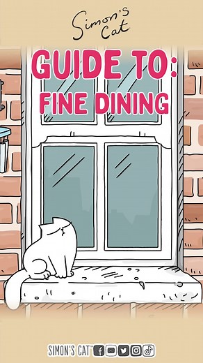 Simon's Cat is a fancy cat...only the best for him! #finedining #funnycats #animation