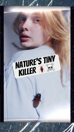 The Real-Life Vampire Insect 🩸🪳 | Nature’s Blood-Sucking Killer | Brain Clue Science