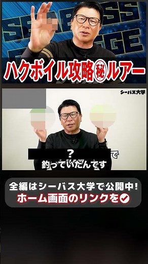 本当は言いたくない㊙︎ルアー：ハクボイル攻略ルアー #シーバス釣り #シーバス初心者 #シーバスルアー