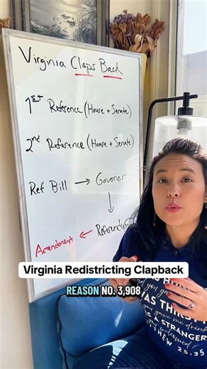 Kate Powell on Instagram: "#virginia we need to #vote our little hearts out on Tuesday 11/4. Kaythanks."