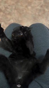 6.4M views · 231K reactions | Happiness ❤️ | Ｄｉｓｔｒａｃｔｉｏｎ | Facebook