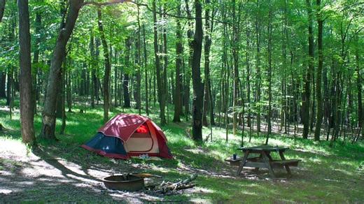 All you can fish at Beaver County pond set to be drained