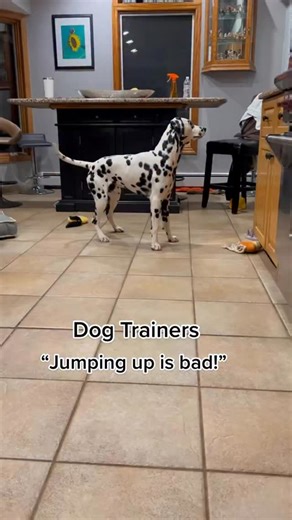 Is your dog jumping up a problem? I don’t care if you don’t care (unless your dog is aggressive then we don’t encourage this). | Thinking Canine