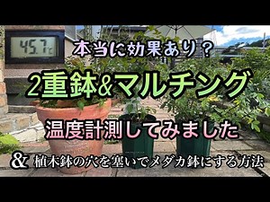 【2重鉢&マルチングの効果は？温度計で計ってみました】【植木鉢を水鉢に加工する方法】【ガーデニング】