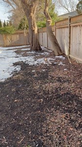 Choosing Mommy Over Potty Time: A Comical Dilemma