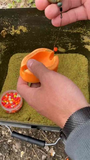 Feeder Fishing Fun Tips and Tricks