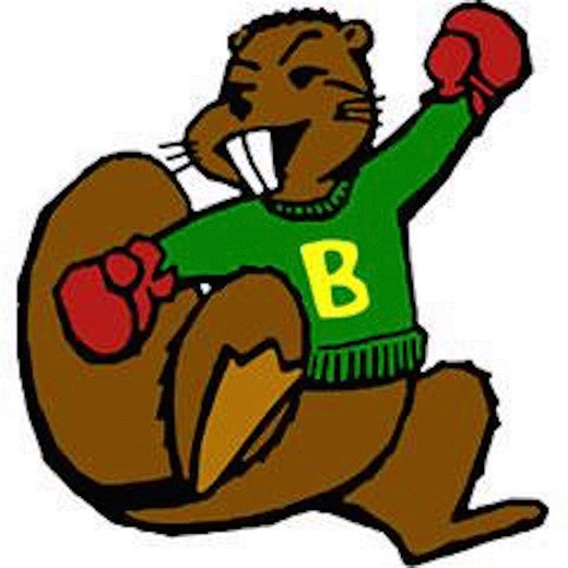 Basketball Game Preview: Beaver Dam Golden Beavers vs. Watertown Goslings