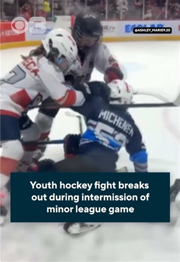 Youth Hockey Team Brawl During Hershey Bears Game