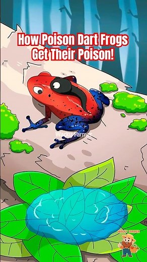 How Poison Dart Frogs Get Their Poison! 🧪 #wackyfarmer #shorts