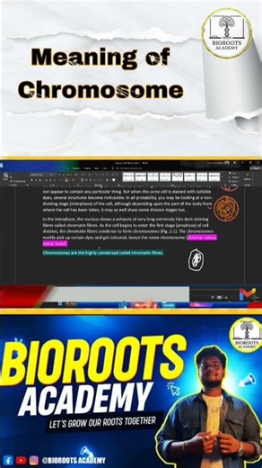 Meaning of Chromosome ??