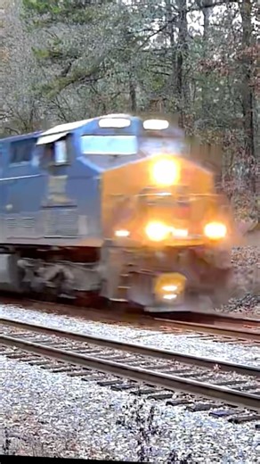 CSX intermodal train
