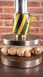 14M views · 64K reactions | Ginger VS Hydraulic Press 100ton #hydraulicpress #fyp #satisfying | Hydraulic Press Experiments | Facebook