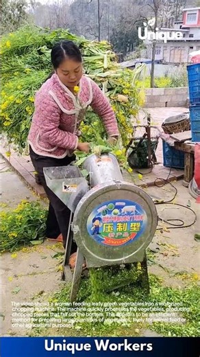 Vegetable Chopping Machine in Action: Efficient Farm Work
