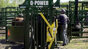 50K views · 91 reactions | With the Q-Power 107 Series Portable Chute, Alley, and Tub system, you can get in, get out, and get the job done safely and easily, so you have more time for what matters most. Learn more ➡️ https://hubs.la/Q012KTtH0 #cattleranching #cattlesqueezechute #arrowquip #cattlehandling #cattleranch #familyfarm #ranchlife #farmlife #portablecattlesystem #portablecattlehandling #qpower107 #hydraulicchute | Arrowquip | Facebook