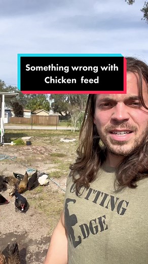 Troubleshooting Chicken Feed for Urban Chicken Farmers