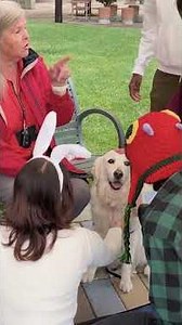CSUF students enjoy a night of self care at self-spooktacular night - Daily Titan