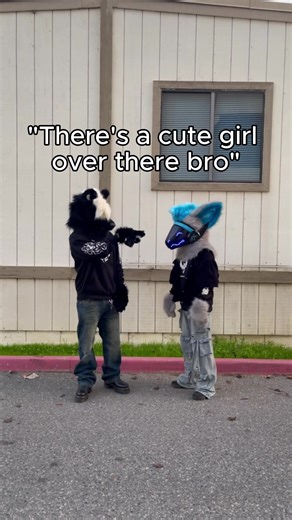 😍 Clothing available at morphicmutts.com #furryfandom #furry #streetwear