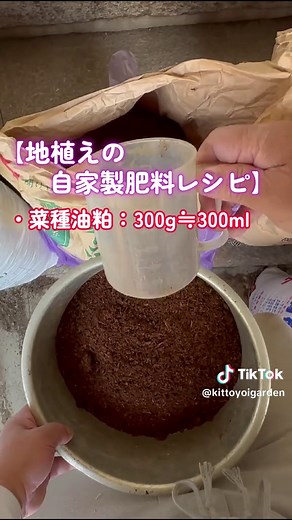 5月のバラの施肥と病害虫対策