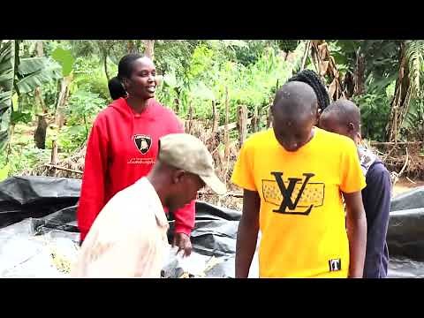 Silage making process
